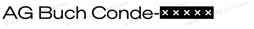 AG Buch Conde字体转换